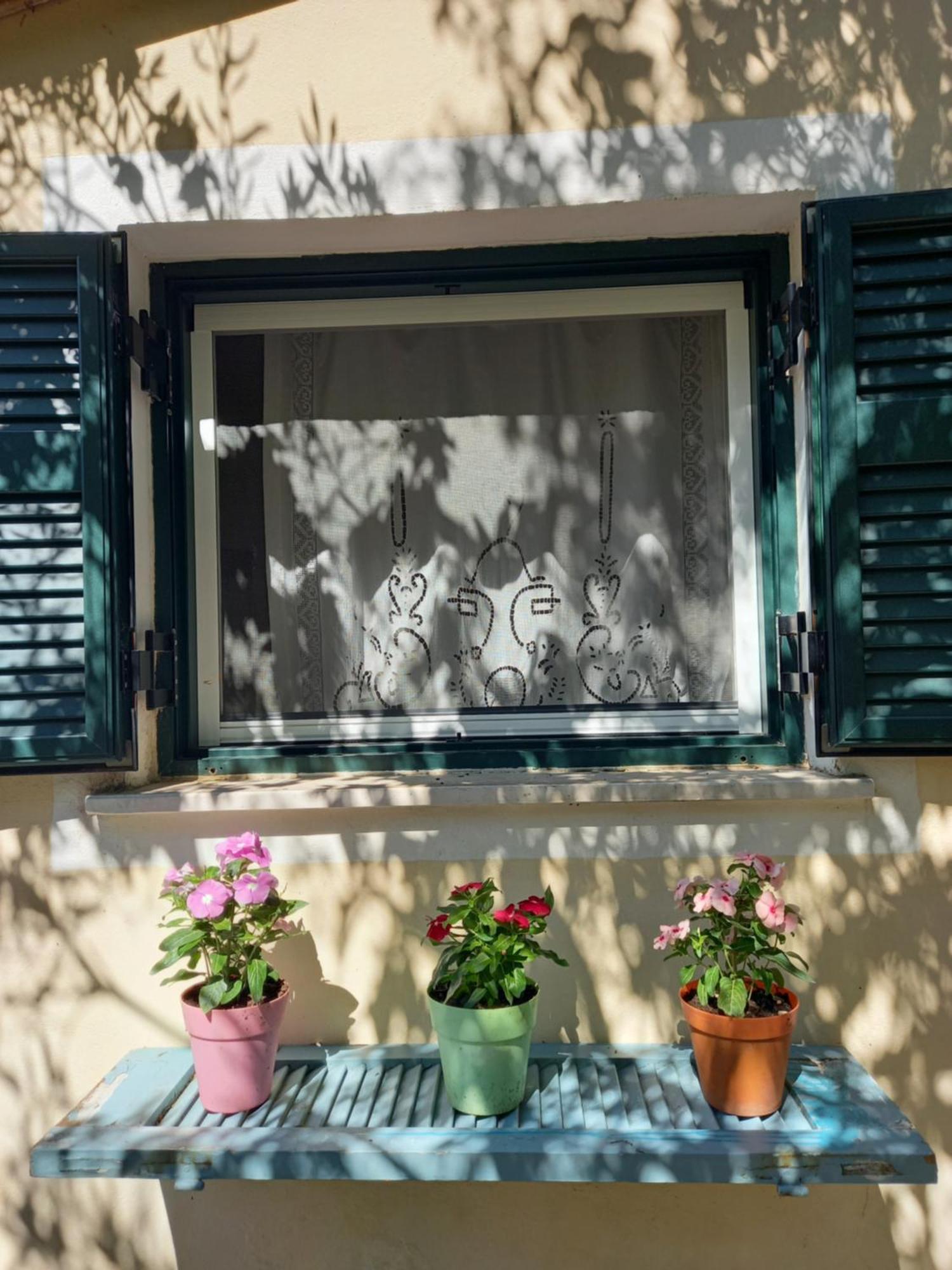 OziásCasa Natasaアパートメント 部屋 写真